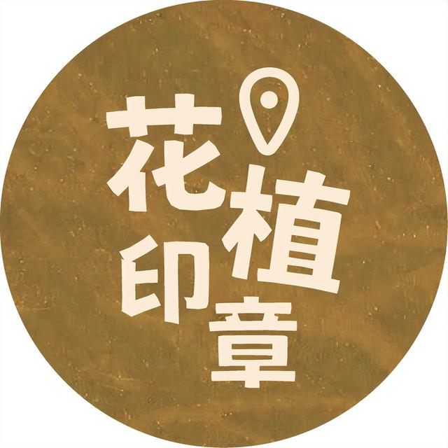 解锁宝藏标地、花植印章和惊喜福利！来花乡，开启秋日的City Walk——