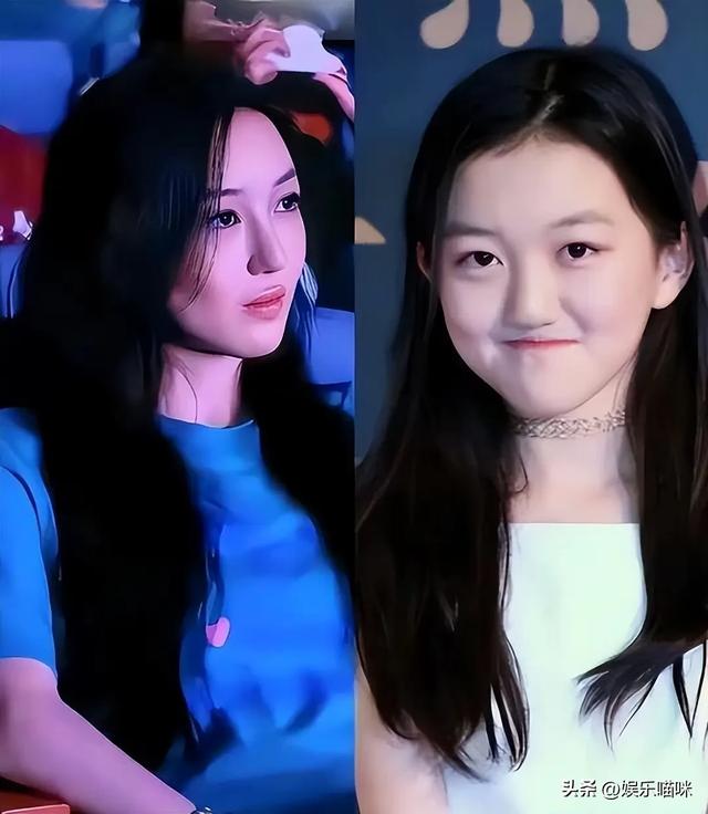 李亚鹏没想到，自己辛苦养大的李嫣，如今19岁给王菲疯狂长脸