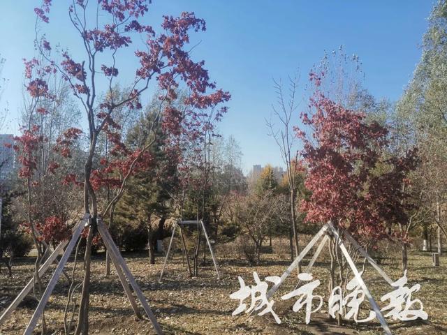 打卡！长春百草园新变化！