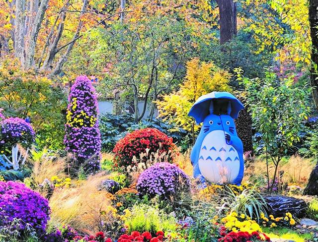 上海共青森林公园秋日攻略：5处精华点位+避坑指南，打卡油画秋景