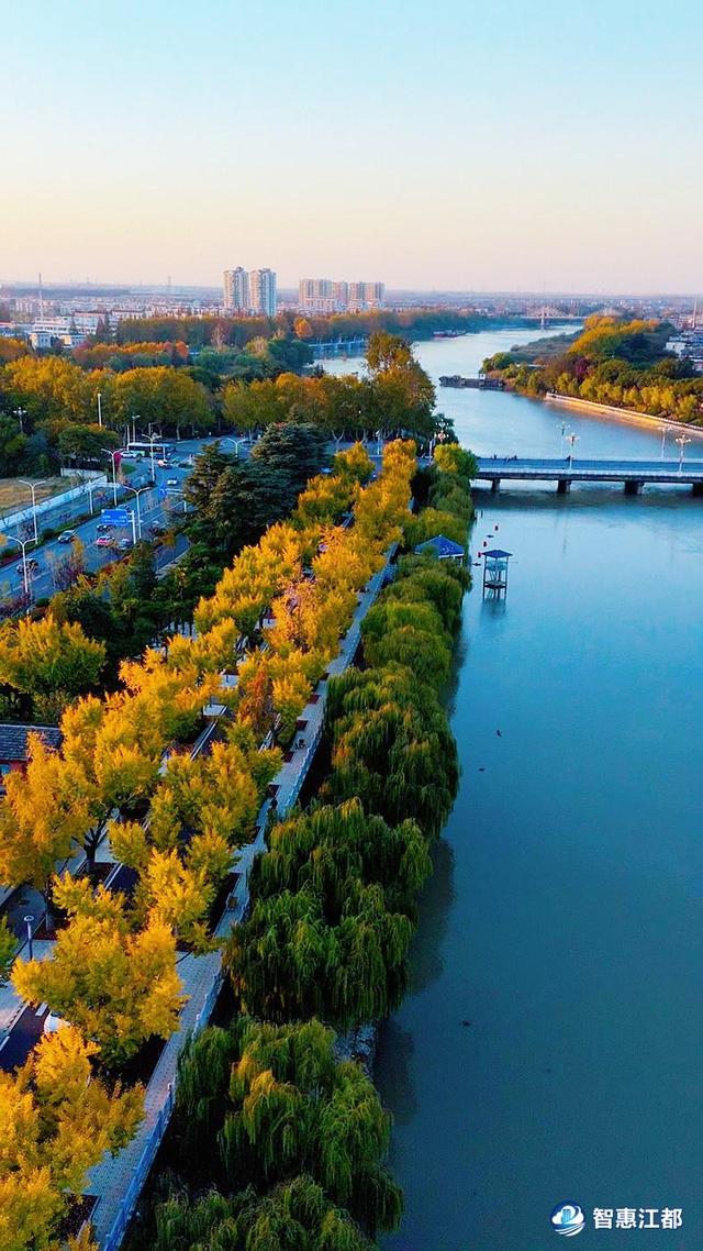 护江河安澜，守人间烟火！江都水利枢纽的冬日诗行