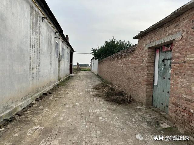 冠县乡韵·桑阿镇轧庄