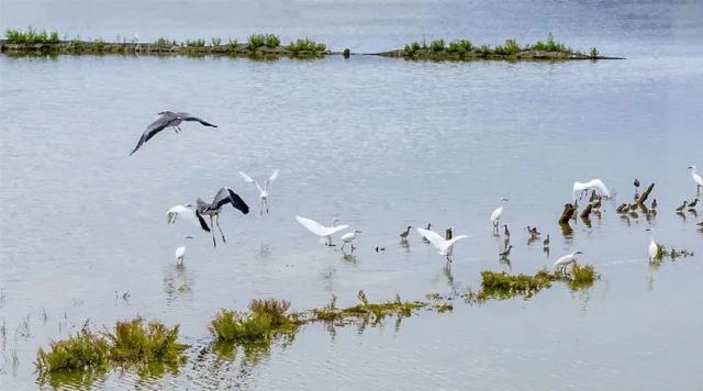 @运城市民!快拿上身份证冲这里吧!