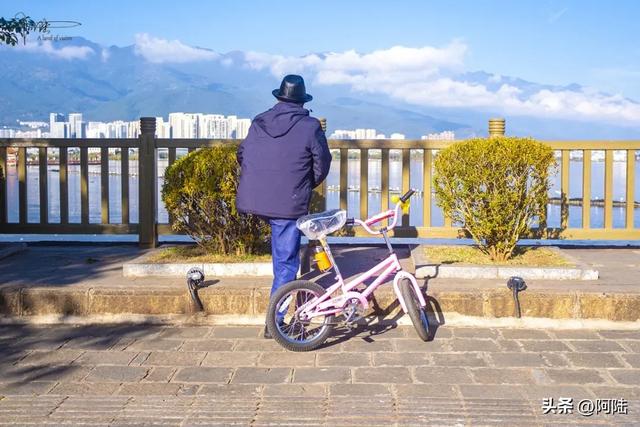 在洱海边偶遇最“潮”老头,粉色坐驾堪称是大理最靓丽的风景线