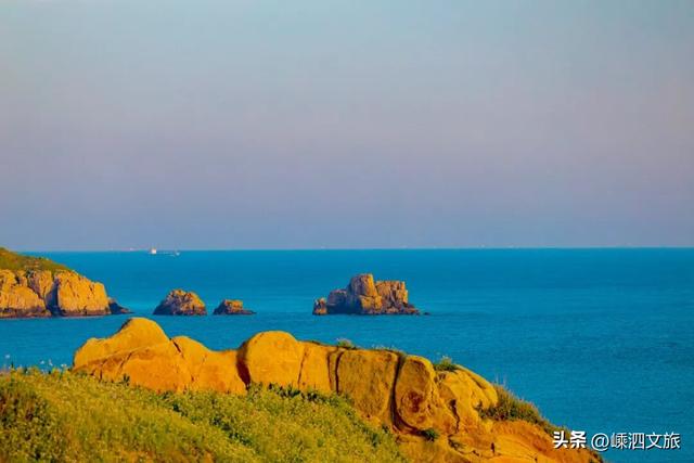 冬日寡淡？NO！看，花鸟岛的缤纷藏不住啦！