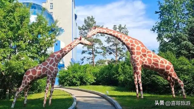 诺敏河畔的绿色明珠：绥棱林业局生态文化旅游区漫步
