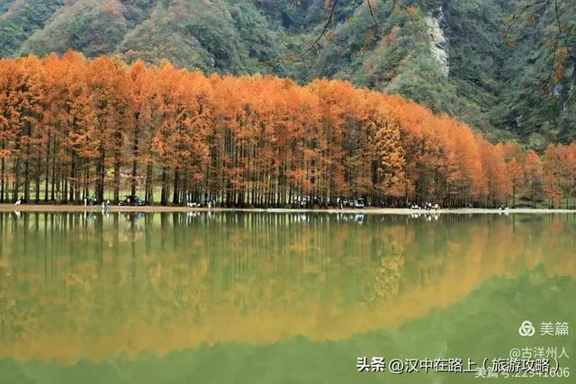 龙池秋色惹人醉