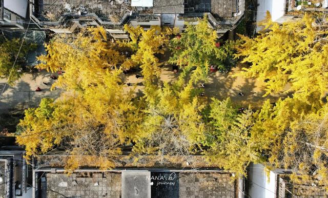 漫游韶关，赴一场山水间的秋日之约