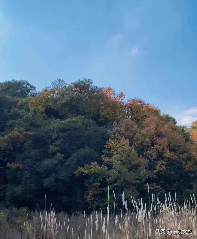 来一场短暂的城市逃离!盘龙这些登高好去处你知道吗?