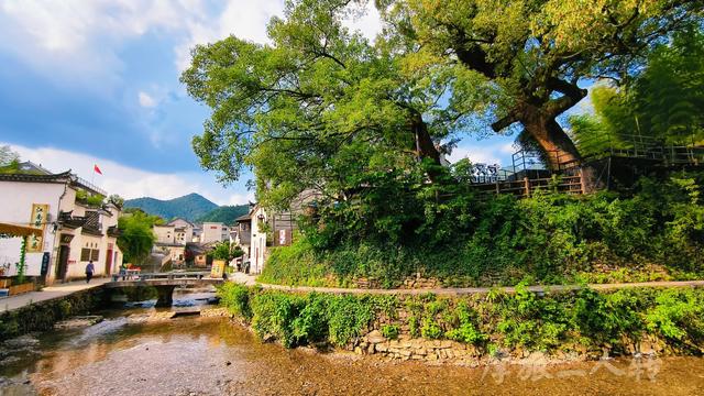皖浙摩旅二人转——芹川古村篇