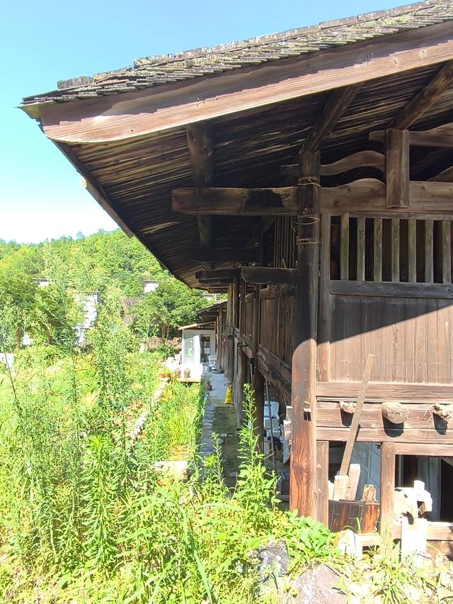 福建 · 福州 · 大湖 · 一村一品：岭头村(2025·7·28～8·1)