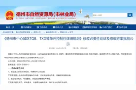 德州这些片区迎来规划调整。图片