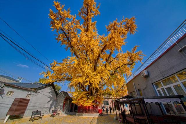 太全面了！8条游玩线路+京郊汤泉！带您玩转北京这里！（1）