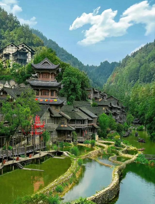 梵净山：云巅之上的自然与人文交响