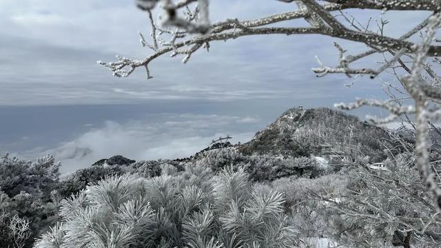 我想离开浪浪山，去看看泰山的四季轮转！