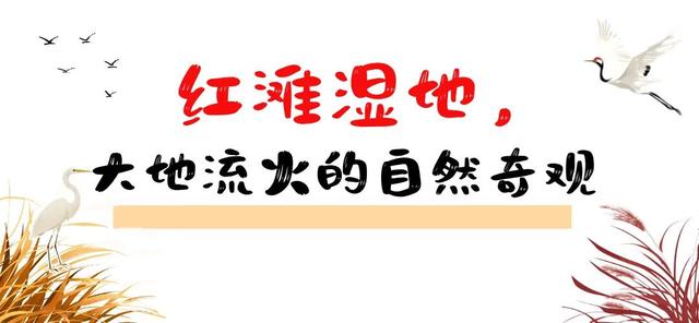 东营，红了！