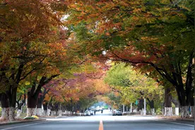 大连两条街区，榜上有名！图片