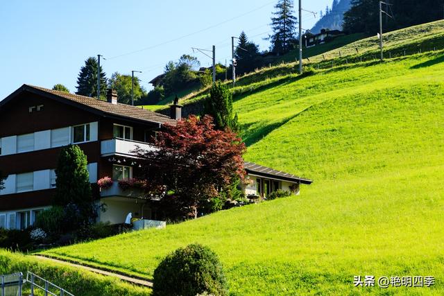 欧游杂记（4）‖ 从因特拉肯到卢塞恩，最大的惊喜是途中的龙疆