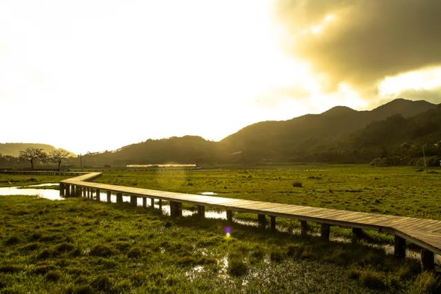 来万宁，连续七天免费看电影！观影+旅游指南→