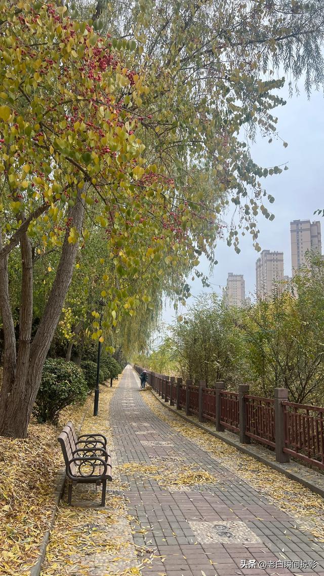 温柔缱绻的秋韵，兰州之美让季节变得更活泛了