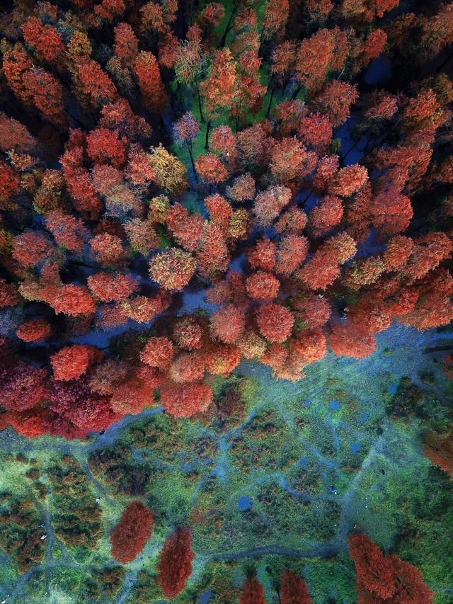 11月旅行地推荐！这13个赏秋地无对手，还藏着国内四大绝美秋色