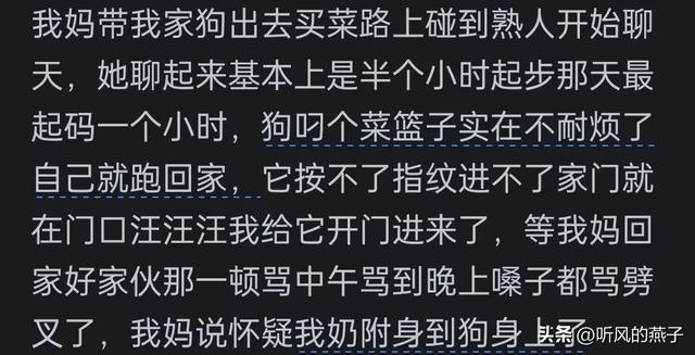 你是否有过把宠物逼的差点说话的时候？网友们的分享，惊呆了