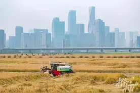 科技爱好者周刊#327：没有链接的互联网图片