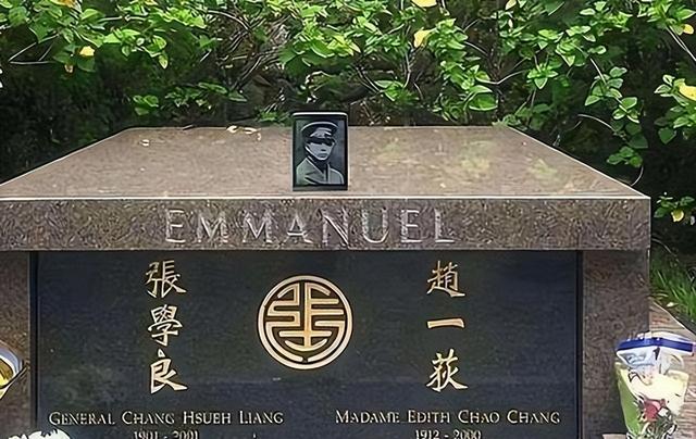 赵一荻独子回国扫墓，跪在张作霖墓前大哭：我代表您儿子来看您了