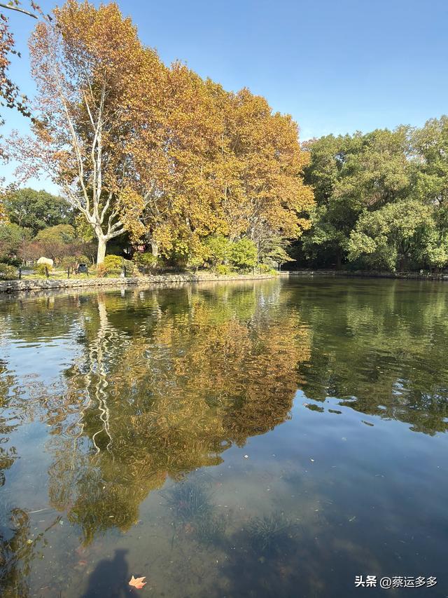 沿着鲁迅的足迹，赏上海秋日美景