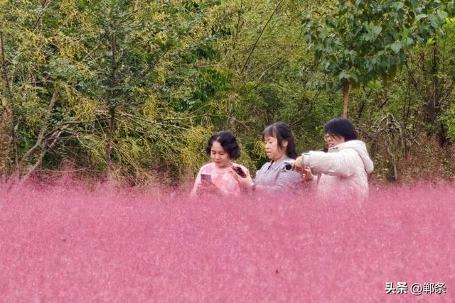 峰峰秋日“宠粉”已上线