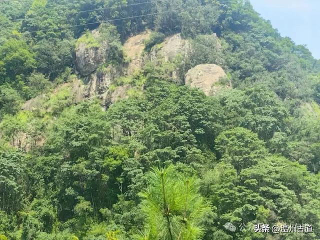 温州这处山水秘境、天然氧吧，人迹稀少风景绝美，秘藏了隐世古村