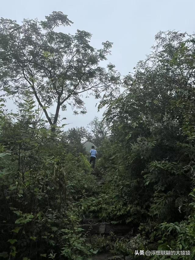 章丘大山深处有一座始建于宋元时期的古庙宇：杓峪庵
