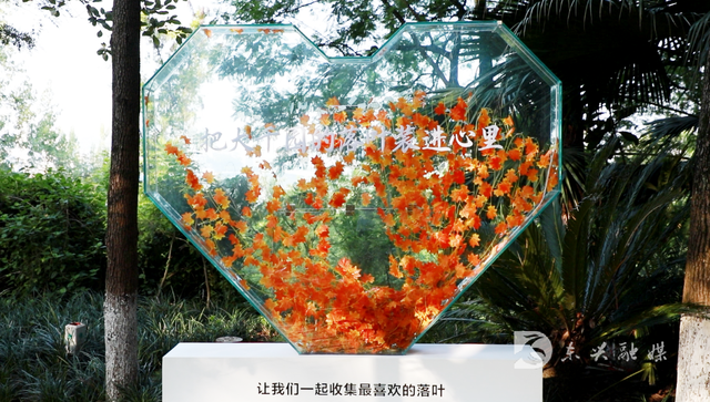 夏日炎炎，来东兴大千园一键解锁清凉模式