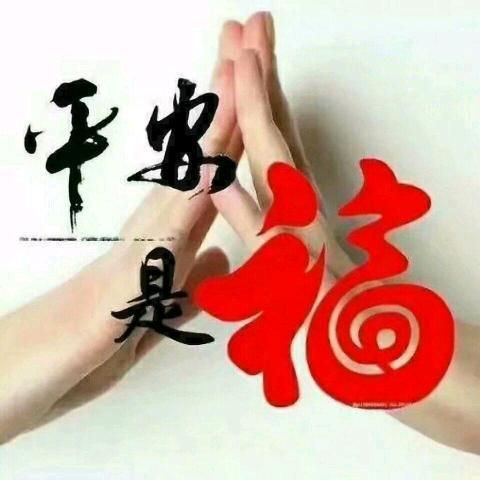 老婆是个命苦的女人（六）