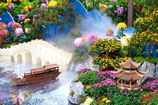 福州西湖菊展三大展点上新