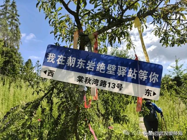 徒步利川朝东岩：华中绝壁的震撼与隐忧，环保徒步爱好者的见闻