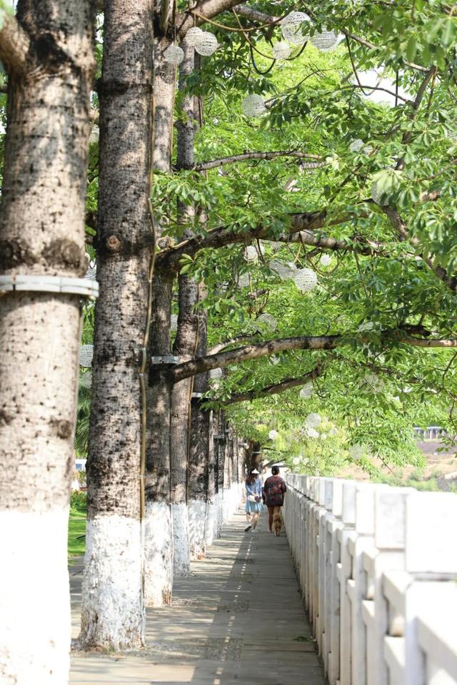 20℃+！出发，去元阳过冬🤩