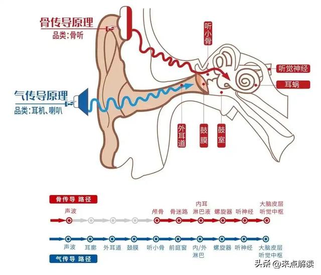 苹果入局翻译耳机！翻译耳机选对不选贵，时空壶W4实测