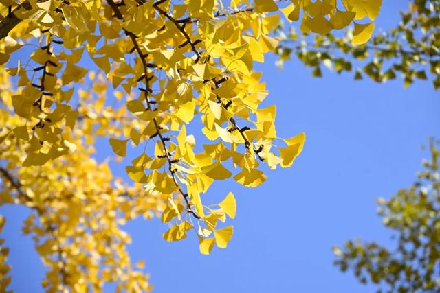 20个点位已公布！张家港人拍照请抓紧