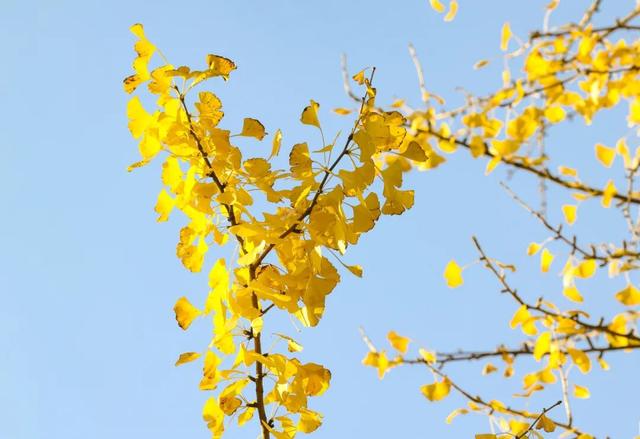 玩转贵安丨贵安初冬限定美景，给你“好看”！