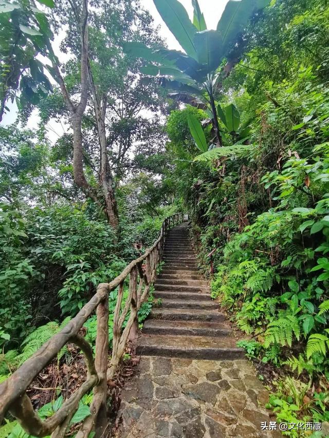 美到心颤！墨脱这几个沿江村落，串联起西藏绝景！