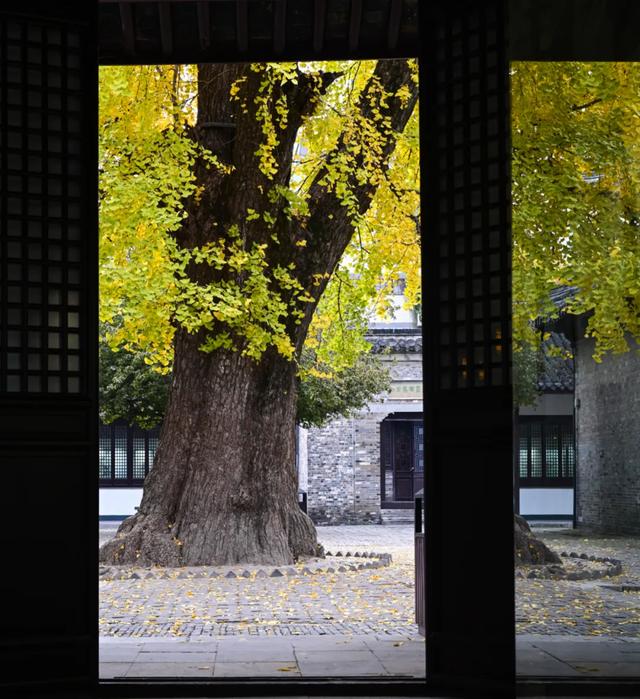 这里是江南诗词最多的城市,它的美有谁懂?