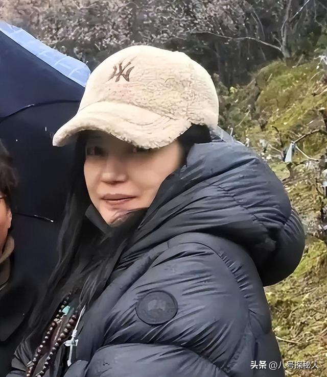 落地凤凰不如鸡！赵薇回老家探亲，全副武装包裹，不敢露脸怕见人