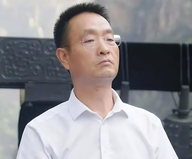 去了趟河南，德媒感慨：中国人对自己都这么狠，不把欧洲卷死才怪