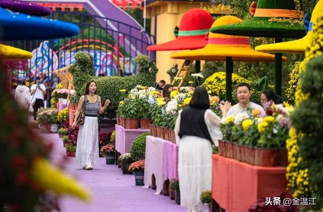 温江这个园区自带BGM！来看看音乐牧场的破圈密码→