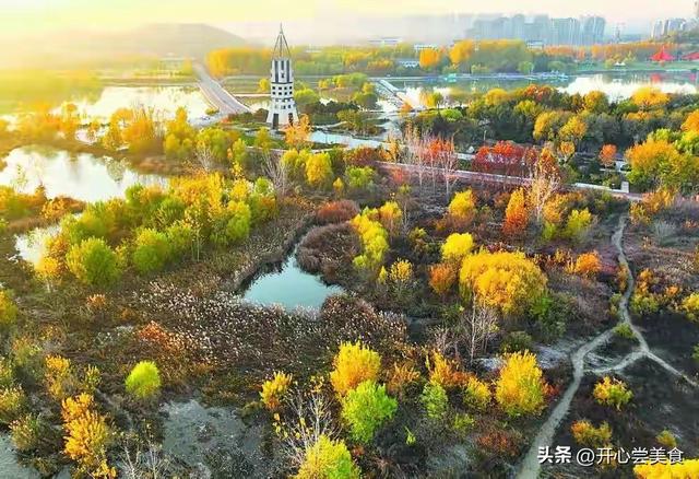 石家庄滹沱河开挂了！初冬美成油画，拍照还不要钱！