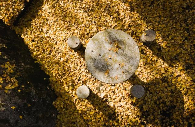 来广元月坝，解锁一场“多巴胺”初冬