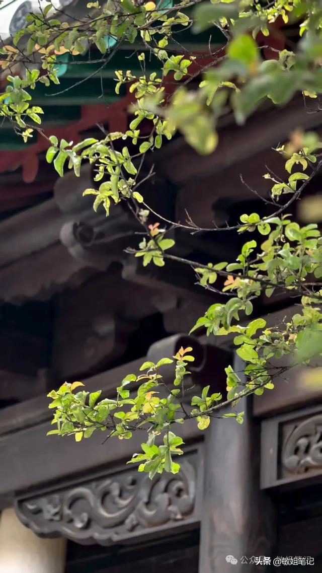 【滇行漫记之二】建水：千年古城的慢时光