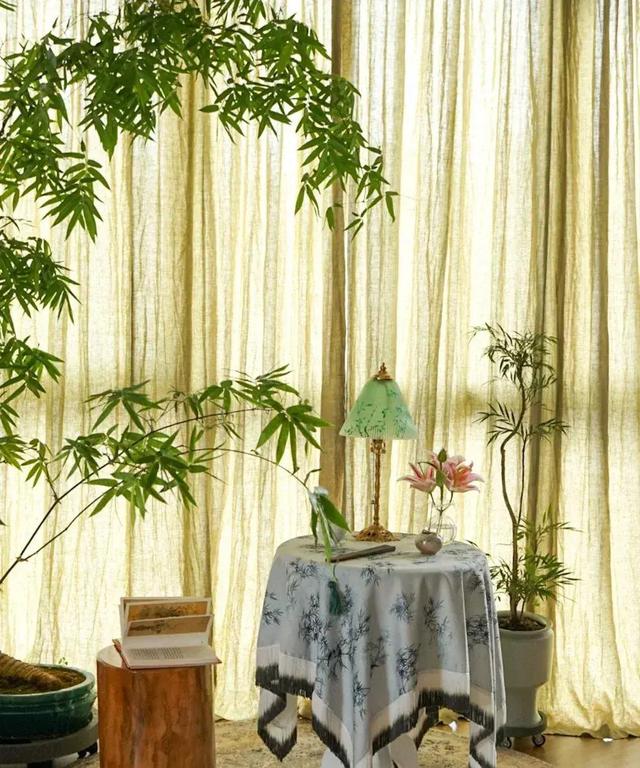 女子晒老公养的花，直呼“好恶心，想扔掉”，网友：扔哪，我去捡