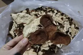 买了陈皮不懂得保存？简单几招教会你图片